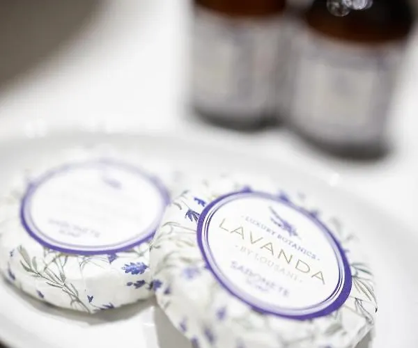 Solar Fontainhas بورتو